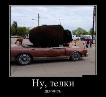 А что за странное огромное существо на заднем плане посреди парковки?