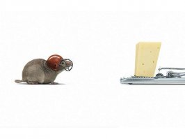 Оголодали: белорусы чуть не снесли KFC в погоне за бесплатной едой