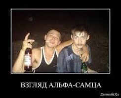 Прикольные и смешные картинки