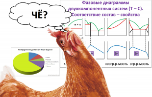 10 фактов о курице, после которых ваша жизнь не будет прежней
