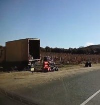 В мешках виноград?) - картошечку и лучок.