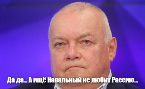 Стало известно о странных переводах Навальному перед крупными акциями