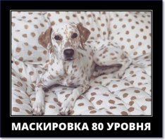 Эти совпадения слишком хороши, чтобы быть правдой!