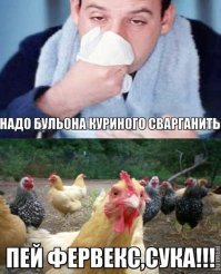 курица фигни не посоветует