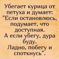 10 фактов о курице, после которых ваша жизнь не будет прежней