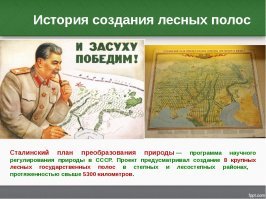 Более 20 стран строят Великую зеленую стену