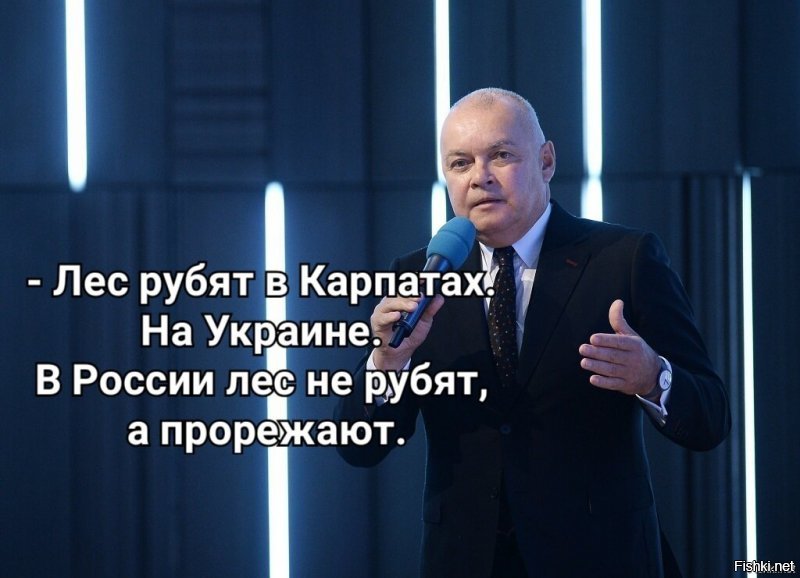 Шахматная Сибирь: как вырубают Россию