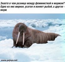 Равноправие полов и всё-всё-всё