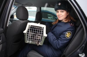 Наши фашисты взяли бы кота в плен.

Фашисты, это не речевой оборот. У бабы из ФСИН РФ на рукаве нашивка с фашинами и ликторским топориком. Это настоящие фашисты.