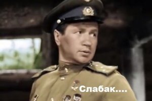 "Последний сдался": в Питере слабак выкинул на помойку остатки ёлки