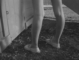 Депутат предложил ввести в школьную программу урок по написанию доносов