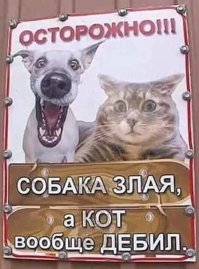 16 убойных объявлений, которые могли придумать только в России