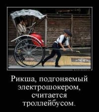 Что случится, если в городах запретят автомобили