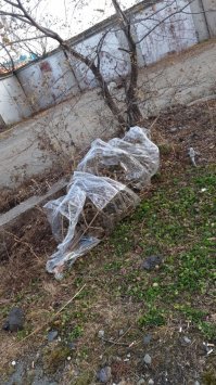 тем временем где то в Хабаровске...