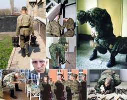 Да-да, армия сделает из тебя "мужчину" - глупого, агрессивного, озлобленного, возможно, гомосексуального )))
Выход только один - начальная военная подготовка в школах + военные сборы раз в 5-10 лет, чтобы население жиром не заплывало + контрактная армия! И никакого долга Родине в виде 1 года своей жизни.