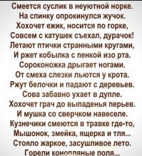 Ловил рыбу на коноплю: в Рязанской области осудили 90-летнего дедушку