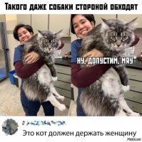 Размер имеет значение: 15 здоровенных котов