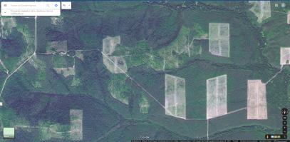 И почему-то он не показывает скрины, на которых видно новые насаждения в местах вырубки. Перешел по первой ссылке и чуть сдвинул карту.