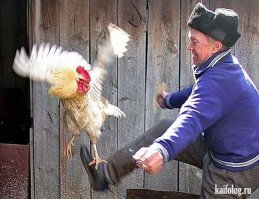 Пшёл отсюда