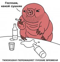 Гены микроскопического жучка помогут людям покорить космос