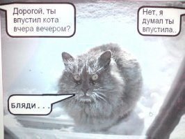Весёлые картинки