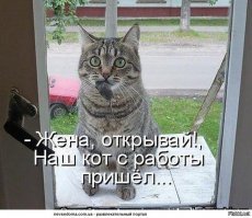 Будущая гроза крыс и мышей