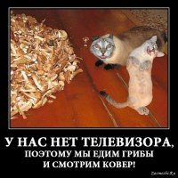 Существа без мозга, которые решают задачи и управляют чужим сознанием