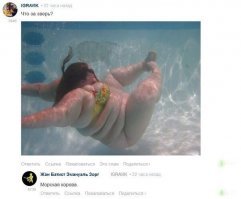 Образ русалки в демотиваторах