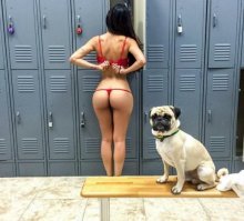 Пестрый мир пернатых