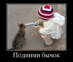 Смешные кошки и дети