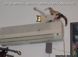 Весёлые картинки