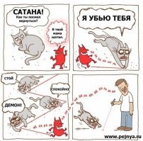 Как ваша кошка пытается с вами поговорить
