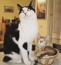 Часть наших "звёзд" :)