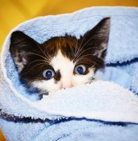 Часть наших "звёзд" :)