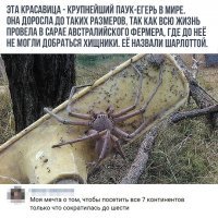 Весёлые картинки