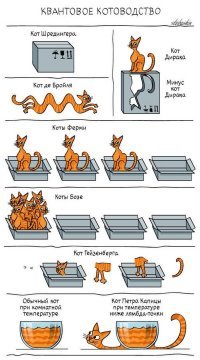Очень милые и колоритные котики
