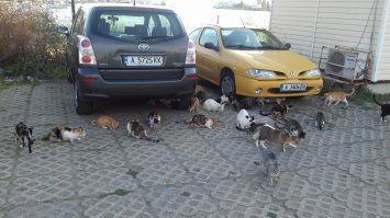 Созополь, Болгария