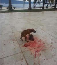 Добавлю милоты