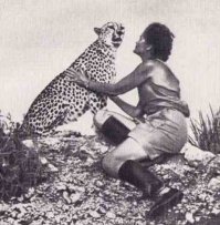 Читала книгу Джой Адамсон «Пятнистый сфинкс» и там описывалось приучение к свободной жизни гепардихи Пиппы. Была поражена смелостью этой женщины и упорным стремлением к цели при абсолютной любви к животным. Очень интересно описывалась сама пятнистая героиня. И вот там особо упомналось, что в одном помёте у Пипы было вроде 5 детёнышей, но выжила и дожила до взрослого возраста одна. И так бывало в каждом помёте. Бывало, что не выживал никто. И бывало, что вина была не на естественных хищниках, а на людях. Именно после прочтения этой книги, ещё в детстве, поняла насколько даже дикие животные правдивы и преданны сами по себе, а вот люди такие, редкое исключение.  Кто не читал советую. Ещё её книга "Рождённая свободной" по которой снят фильм. И другие её книги воспевают природу и описывают её служение диким зверям от всего её щедрого сердца.