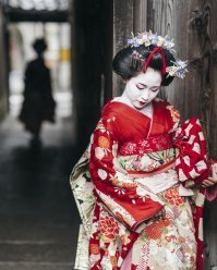 Да вот как-то вообще пофигу, как выглядит гей. Мне гейша более интересна.