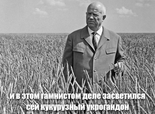 «Многие голосовали против»: Сталинград 58 лет назад переименовали в Волгоград — хроника событий