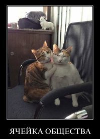 С добрым утром!

.