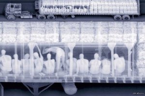 Смешные комментарии из соцсетей