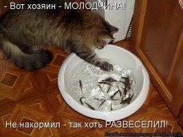 Котовсячина