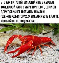 а почему властитель мира уже варёный?