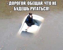 Прикольные и смешные картинки