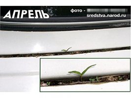 Подборка автомобильных приколов