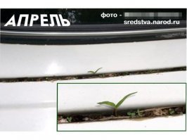 Подборка автомобильных приколов