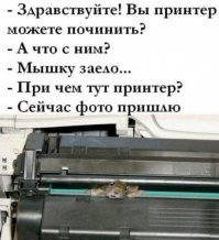 Раньше были другие приколы.