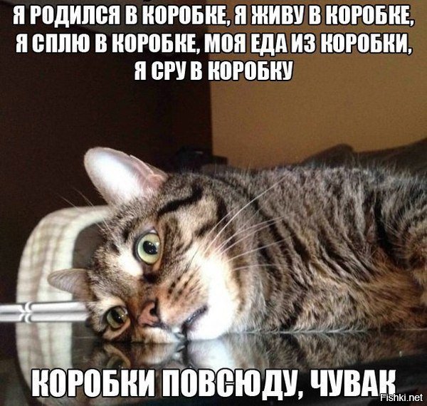 Подборка демотиваторов, которых вам так сейчас не хватает